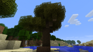 [1.8.1] Huge Trees - толстые деревья